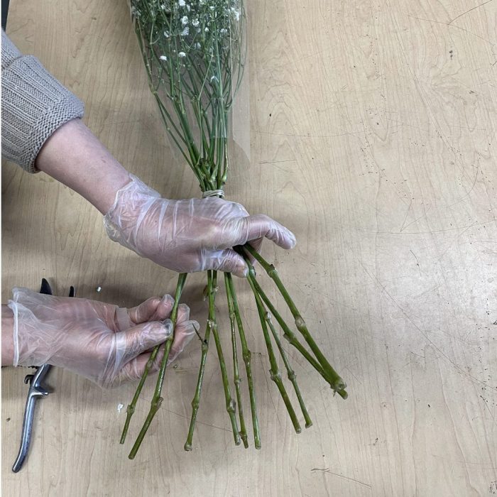 Baby’s breath stems.