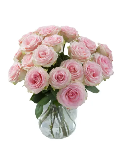 Esperance Roses11