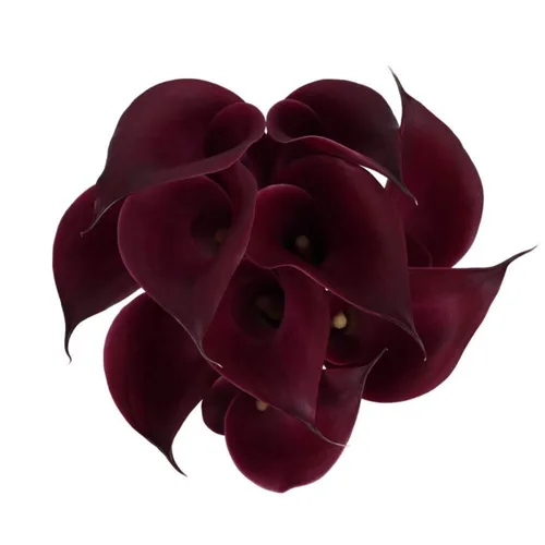 Calla Lily Cranberry1