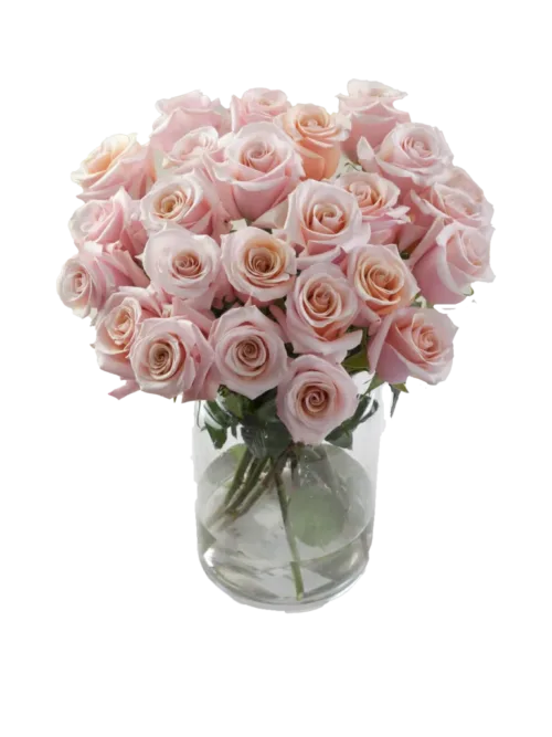 Rose Light Pink11