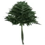 Leather Leaves Greenery11
