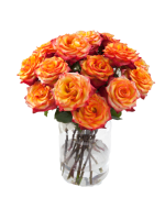Bi-Color Roses Burgundy and Yellow 1
