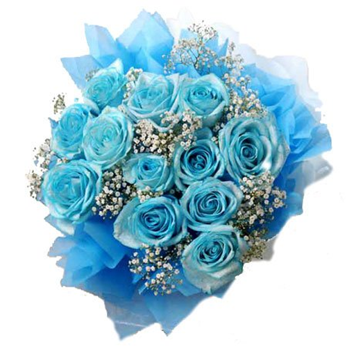 Blue Roses1
