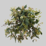 Seeded Eucalyptus Greenery1