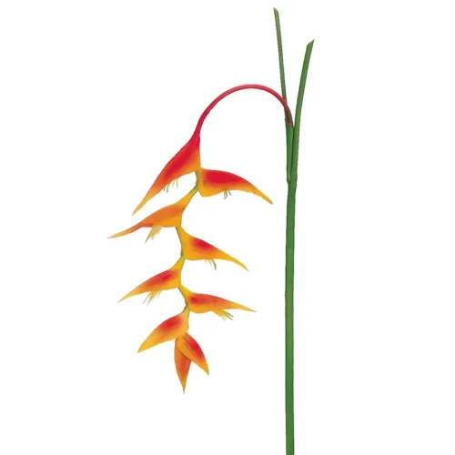 Pendant Heliconias