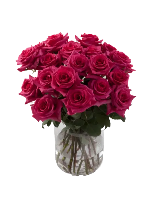 Bulk Hot Pink Roses 11