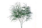 Tiki Tree Fern Greenery1