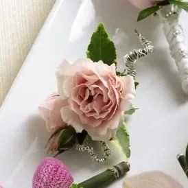 spray rose boutonniere A Delicate Arrangement1