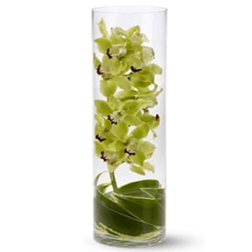 Cymbidium Orchid in a Vase1