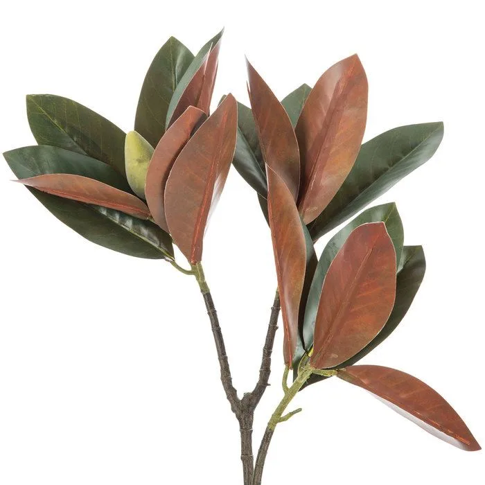 Magnolia Greenery Magnolia Greenery11