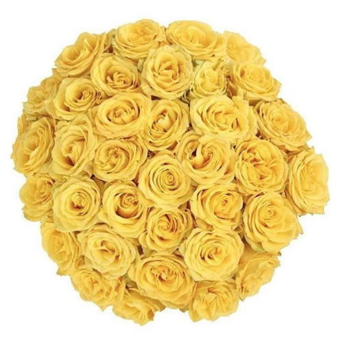 50 Stems Yellow Roses (1.69 Per Stem)1