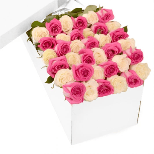 3 Dozen Pink and White Roses - Mother's Day1