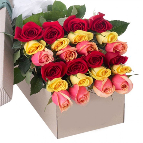 2 Dozen Assorted Roses - Mother's Day1