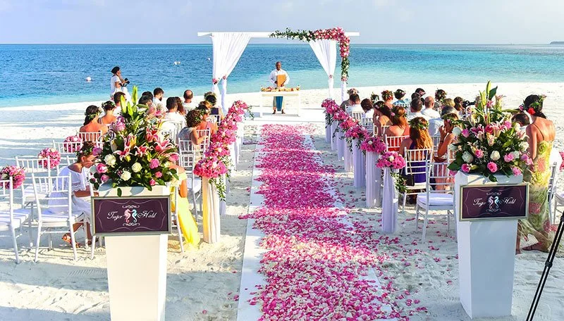Rose Petals