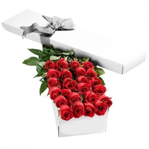 Long Stem Roses in a Box
