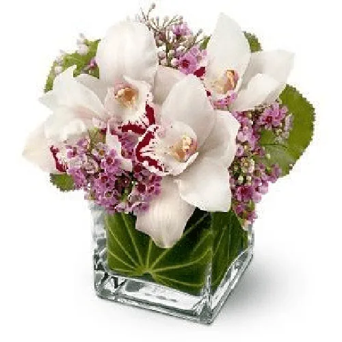Beautiful Flower1