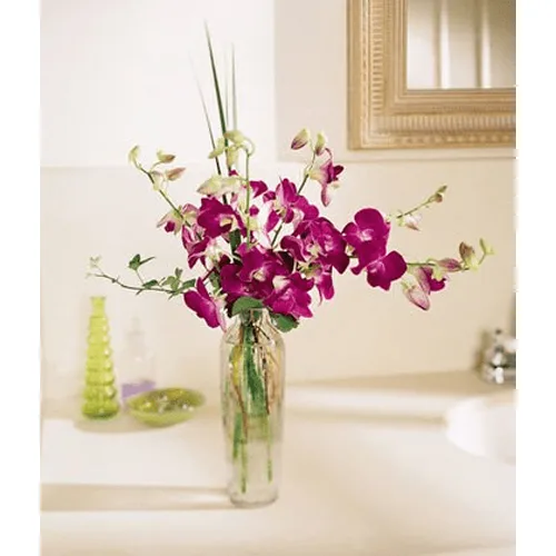 Dendrobium Orchid Flowers1