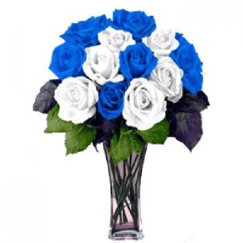 Roses Blue and White Flowers11