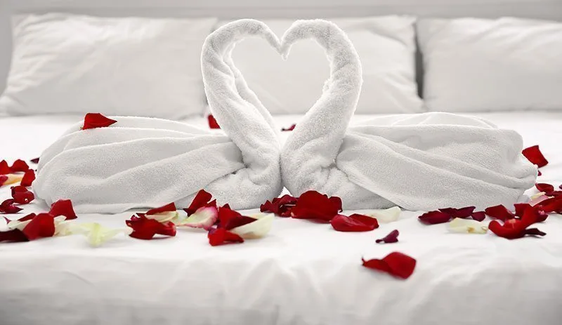 rose petals on bed