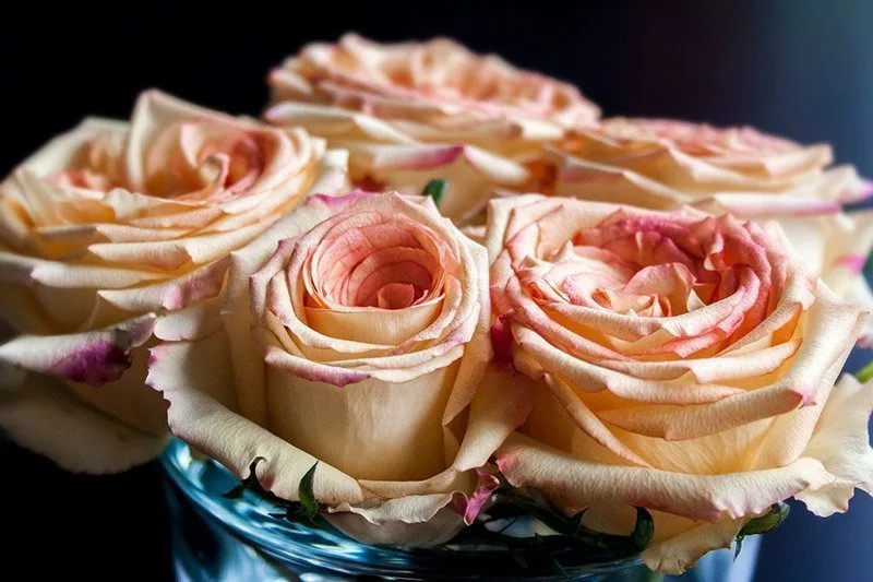 Sweetest Day Flowers