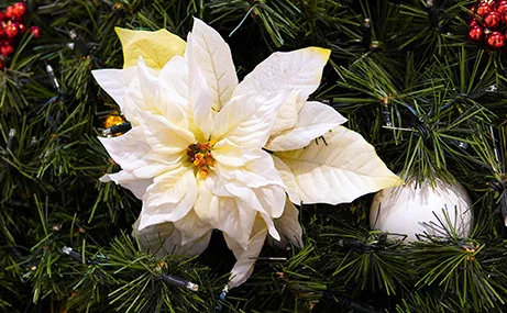 Christmas Flowers