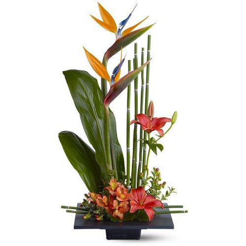 Birds of Paradise Arrangement1