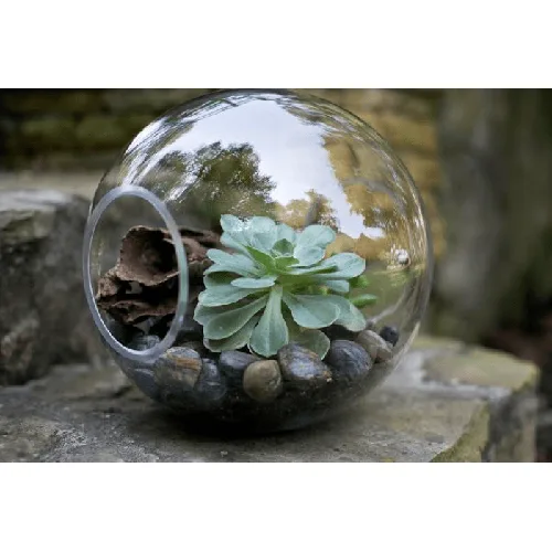 Terrarium Garden  1