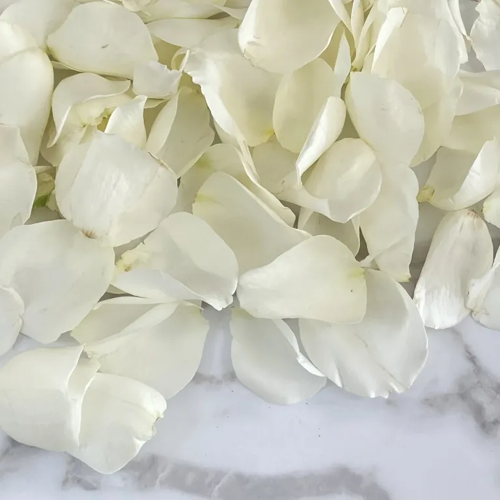 White Rose Petals bulk1