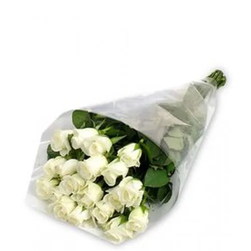 25 White Roses11