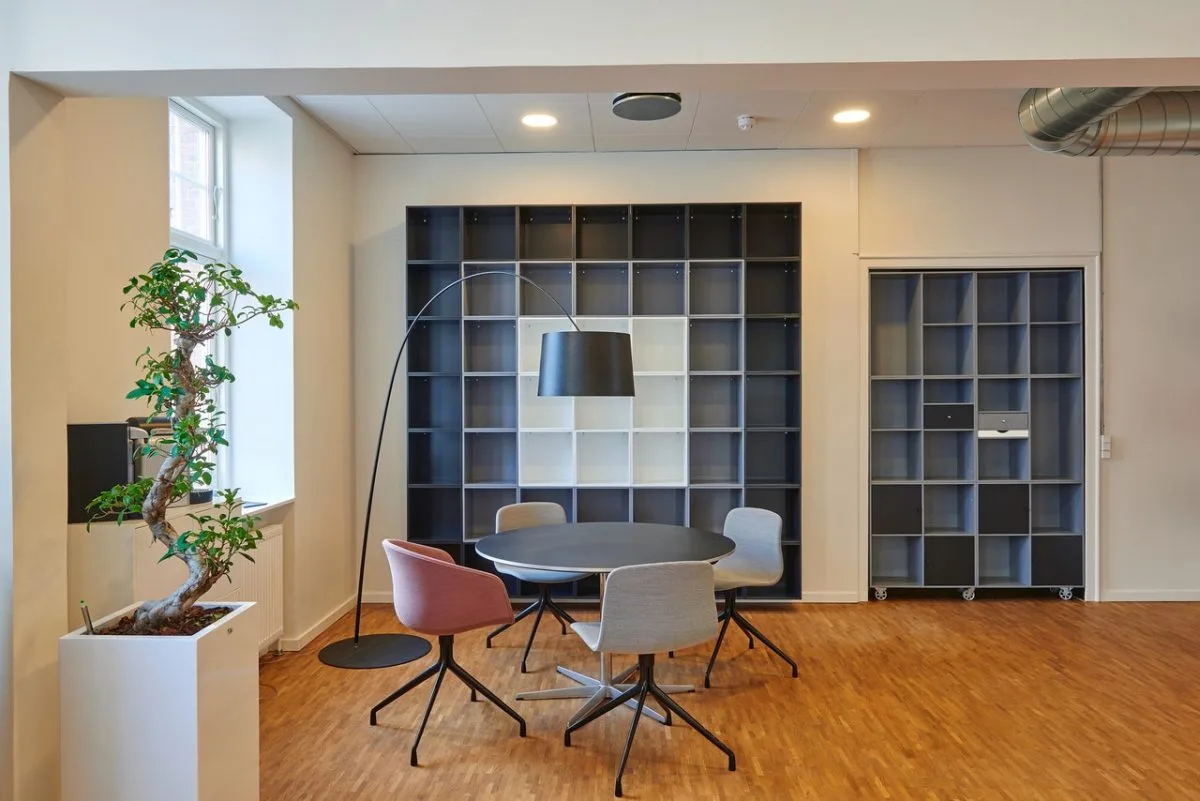 Indoor office plants,
