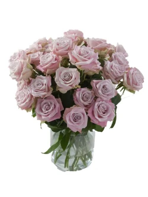 Rose Faith11