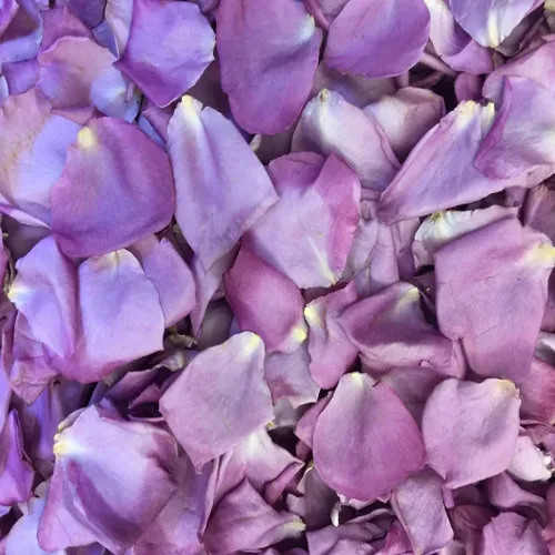 Lavender Rose Petals1
