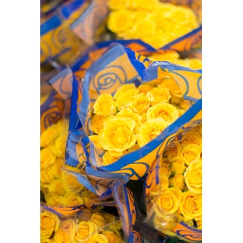spray roses