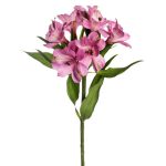 Alstroemeria Light Lavender
