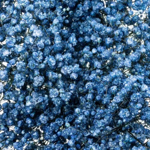 Blue Tinted Baby’s Breath11