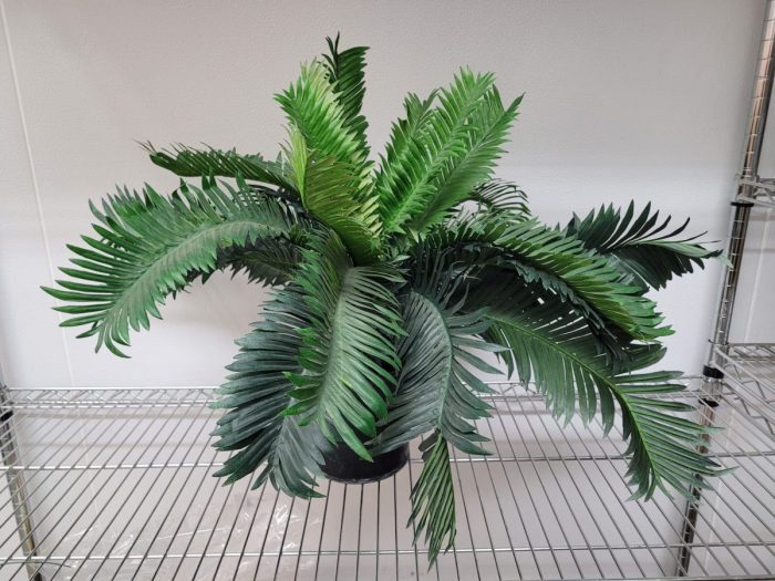 Artificial Plant