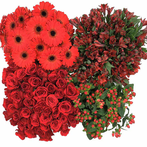 Bulk Flowers Wedding, Red1