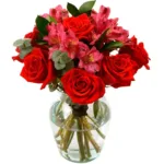7 red roses and more11