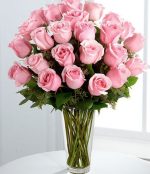 24 pink roses