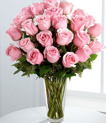 24 pink roses