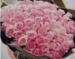 50 Stem Pink Roses11