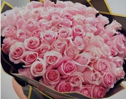 50 Stem Pink Roses11