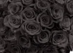 Black Tinted Roses Stems1