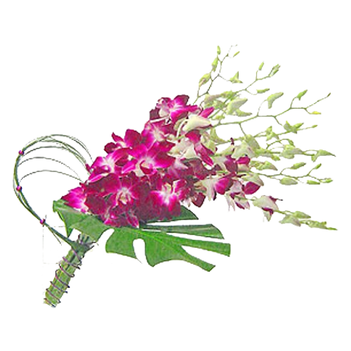 Dendrobium Orchids - Floral Arrangement