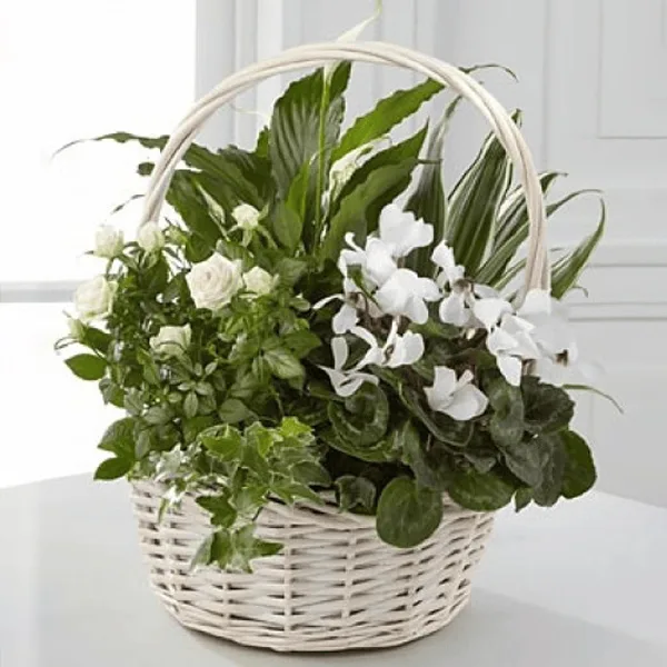 Dish Garden Tribute Gift Idea