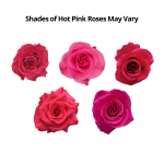 50 Stem Hot Pink Roses1