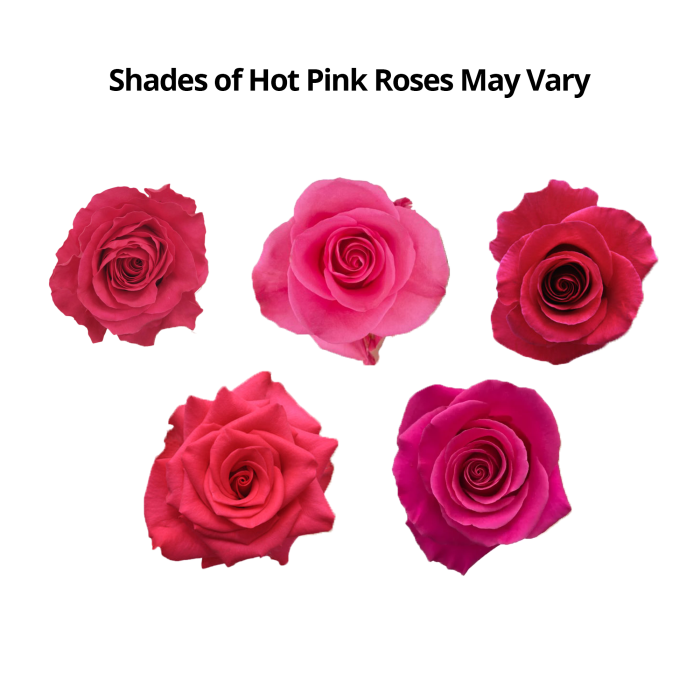 50 Stem Hot Pink Roses1