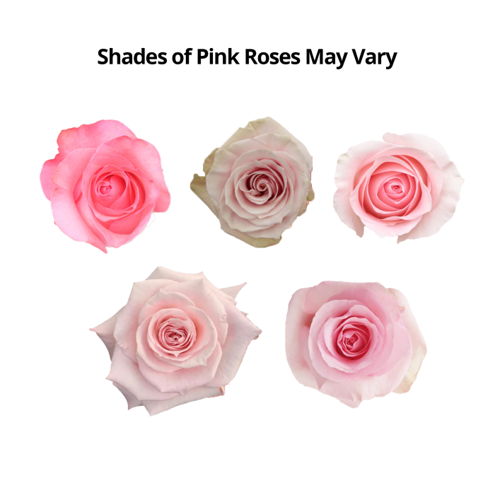 50 Stem pink Roses1