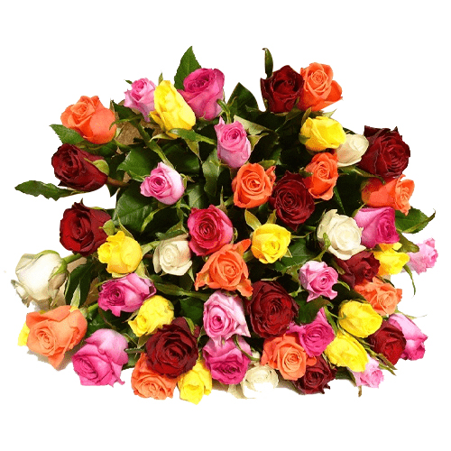 50 Stems Roses Assorted1