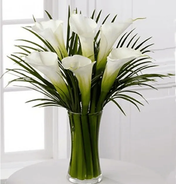 Calla Lily Vase Arrangements Calla Lily Vase Arrangements11